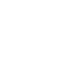PT Walton Jr foundation white logo